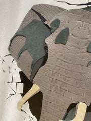 Elephant Coming Through