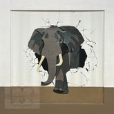 Elephant Coming Through